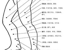 人体图谱高清图,揭秘生命奥秘的视觉之旅