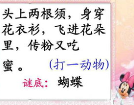 一加一共有二打一字,探寻汉字中的智慧奥秘